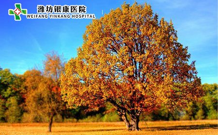白癜風(fēng)是什么?白癜風(fēng)會(huì)傳染嗎?