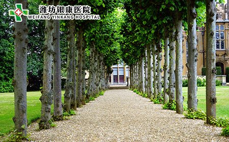 白癜風(fēng)是什么?白癜風(fēng)會(huì)傳染嗎?